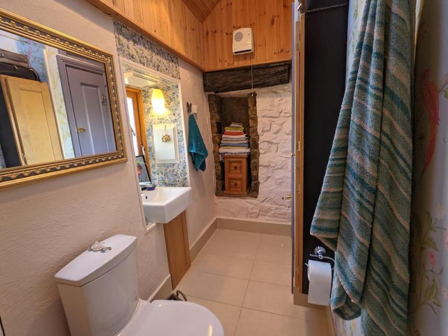 Secluded Private Cottage Hot-Tub, Sauna & Fire-Pit Carrick-on-Shannon Exterior photo